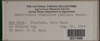 Image Associated With the Occurence